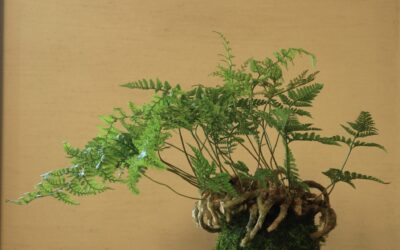 写真 (1) 写真 (1)