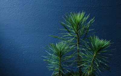 20221005_133353+0900-uid-1E807304-DF40-4336-9589-2FFE786DA5EE-4339822 20221005_133353+0900-uid-1E807304-DF40-4336-9589-2FFE786DA5EE-4339822