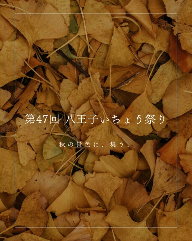 2026/11/21-22 第47回 八王子いちょう祭りに出店します。